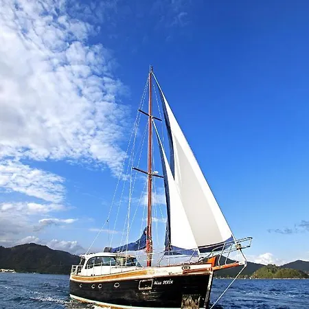 Marti Hemithea * Orhaniye (Marmaris)