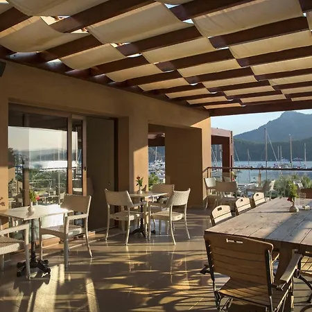 Marti Hemithea * Orhaniye (Marmaris)