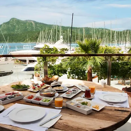 Marti Hemithea * Orhaniye (Marmaris)